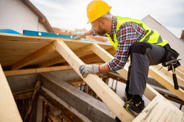 Best Roof Maintenance Services  in Everson, WA