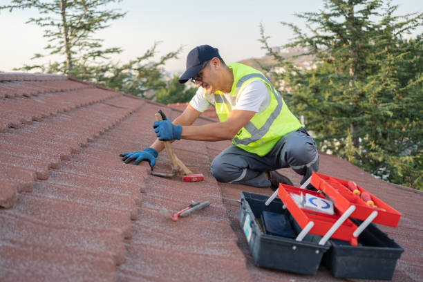 Best Roof Gutter Cleaning  in Everson, WA
