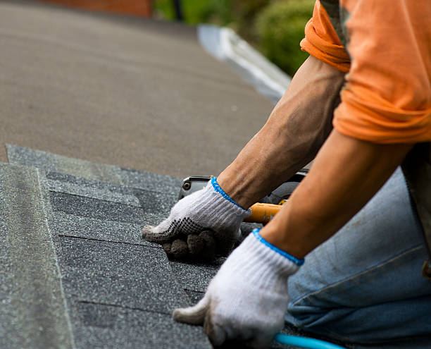 Best Roof Leak Repair  in Everson, WA